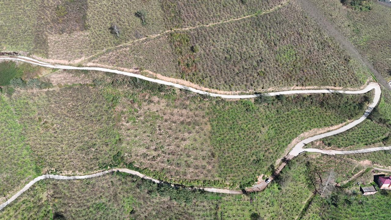 MABEL GAYRİMENKUL-ŞEYHMUSA KÖYÜ FIRSAT FINDIK BAHÇESİ